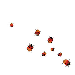 Delicate background with ladybugs. Trendy template for a postcard, stamp, banner or poster. Cute Ladybugs on a white background. Vector