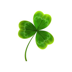 green leave of clover. realistic vector