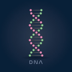 Colorful Abstract DNA strand symbol isolated on dark blue background.