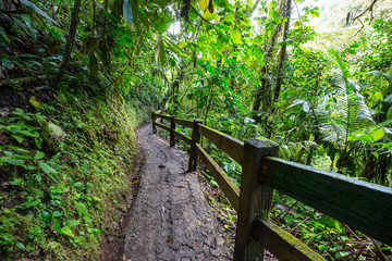 Hike in Costa Rica