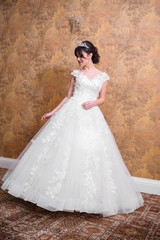 Fototapeta premium Beautiful bride in wedding dress