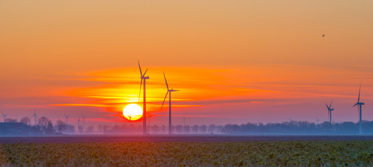 Wind turbines in a field at sunrise in winter