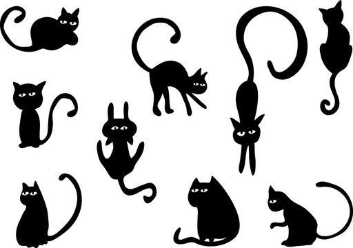 animals