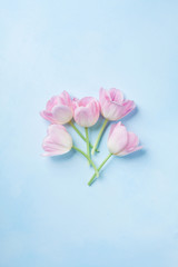 Pink tulips on blue pastel background top view. Spring greeting card with copy space..