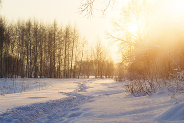 sunshine winter