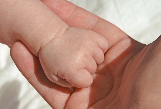 New born clenched baby girl hand in mother's hand