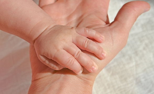 New born caucasian baby girl opened hand in mother's hand