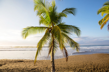 Tropical beach