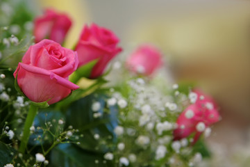 A bouquet of roses with small white flowers