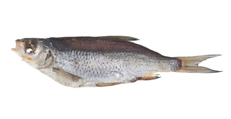 dried fish isolated on white background