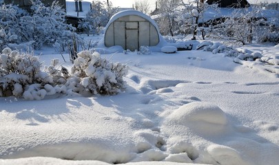 Obraz premium garden covered with snow lit by the morning sun
