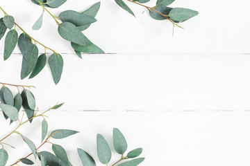 Eucalyptus leaves on white background. Frame made of eucalyptus branches. Flat lay, top view, copy...