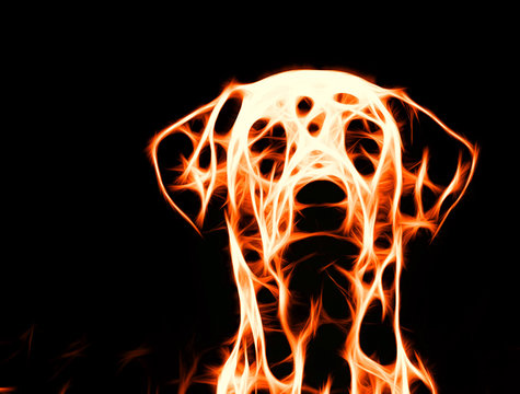 Abstract Fire Dog On Black Background