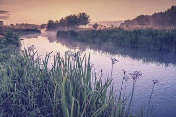 Summer landscape with river