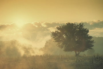 Morning vintage landscape