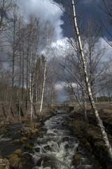 Ruisseau à Sahanlahti, Carélie, Finlande