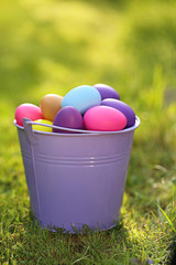 Easter concept. easter eggs in a lilac   bucket on a green lawn in the sunshine .Easter mood. easter bright background	