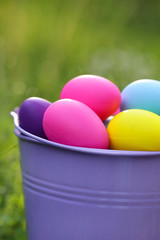 Easter concept.  eggs in a lilac decorative bucket on a green lawn in the sunshine .Easter mood. easter bright background	