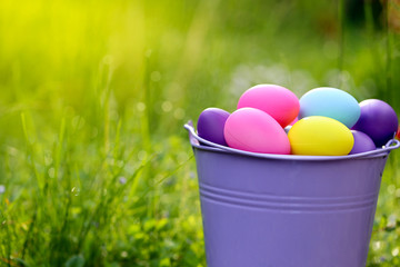 Easter concept. easter eggs in a lilac decorative bucket on a green lawn in the sunshine .Easter mood. easter bright background	