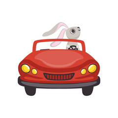 Cute little bunny driving vintage red car, funny rabbit character, Happy Easter concept cartoon vector Illustration