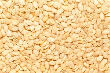 Organic watermelon seed (Citrullus lanatus) in full frame plane shape. Isolated on White Background.  Micro Closeup, Top view.