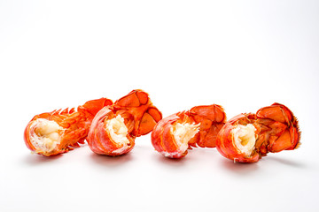 canadian lobster on a white background.