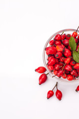 rose hip isolated