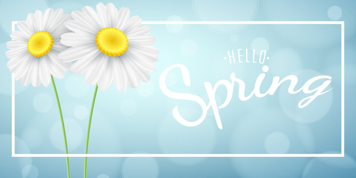 Spring concept. Chamomile in white frame banner on the background of the sun. Blue bokeh lights. Calligraphic text. Hello spring phrase. Vector illustration