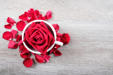Happy Valentine's Day Concept with red roses in cup and space for text