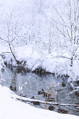 wonderful winter landscape.