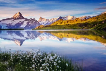  Great view of Bernese range above Bachalpsee lake. Location Swiss alps, Grindelwald valley. © Leonid Tit