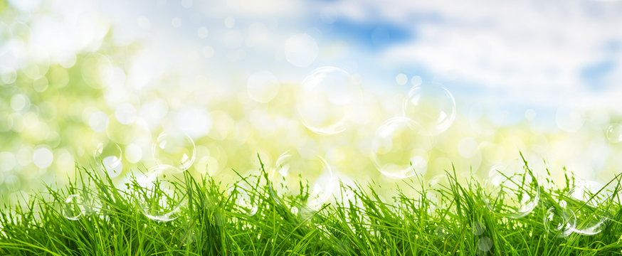 spring
