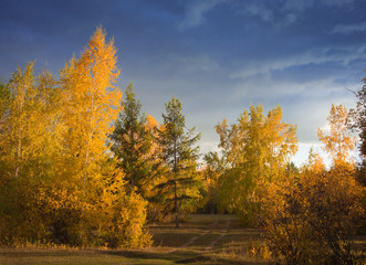 Fototapeta premium Autumn landscape