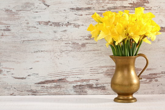 Narcissus - daffodil, a species of amaryliaceous plant species.