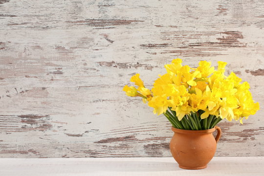 Narcissus - daffodil, a species of amaryliaceous plant species.