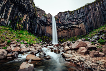 Great view of Svartifoss waterfall. Location Skaftafell National Park, Iceland.