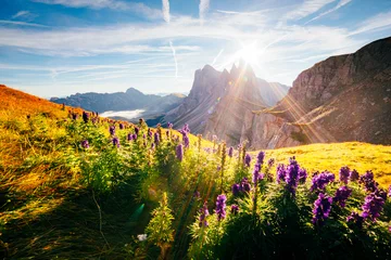 Photo sur Plexiglas Dolomites Calm view of the alpine hill. Location Puez-Odle National Park, Dolomite, Italy.