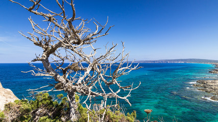 panorama de formentera