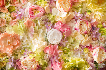 close-up view of beautiful floral background with tender elegant flowers
