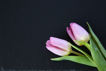bunte tulpen auf schwarzer schiefersteinplatte