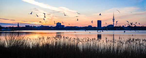 Panorama der Grosstadt Silhouette Hamburg an der Aussenalster abends