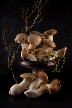 set of edible fresh mushrooms on black slate plate kitchen plate can be used as background
