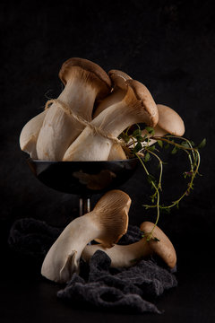 set of edible fresh mushrooms on black slate plate kitchen plate can be used as background