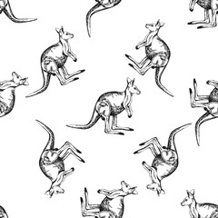 Fototapeta premium Seamless pattern of hand drawn sketch style kangaroo. Vector illustration isolated on white background.