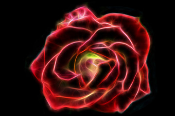 Abstract glow wire red rose on a black background.