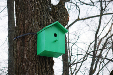 Colored birdhouses.Colorful bird houses