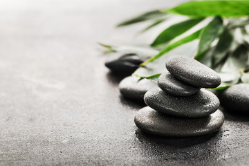 Stones and green leaves