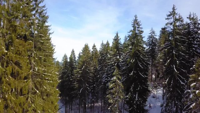 Langsamer Flug durch Wald ins Tal