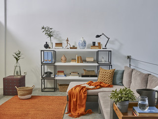 modern living room with sofa and bookcase