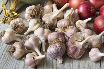 harvest garlic and onions